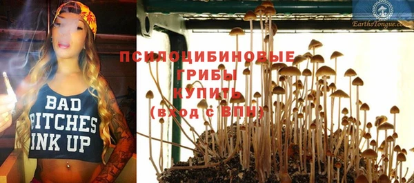 винт Надым