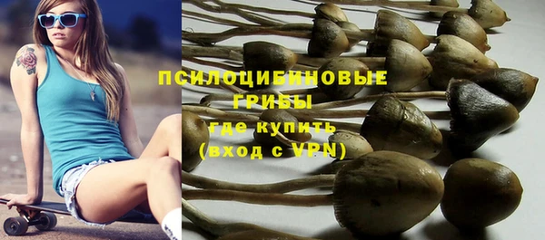 винт Надым