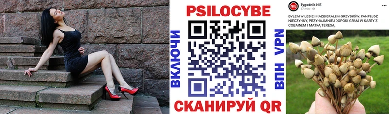 Псилоцибиновые грибы Psilocybine cubensis Киржач