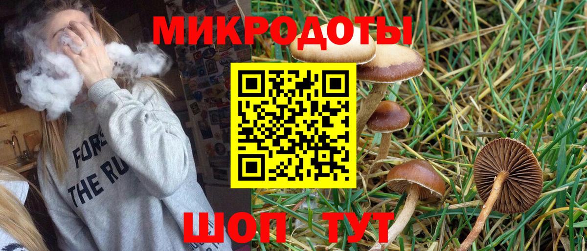 Псилоцибиновые грибы Psilocybe  Киржач  Галлюциногенные грибы мицелий 