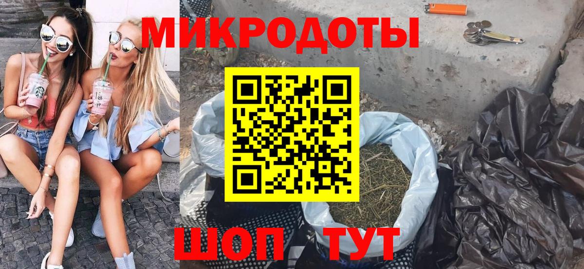 Галлюциногенные грибы Psilocybe Киржач