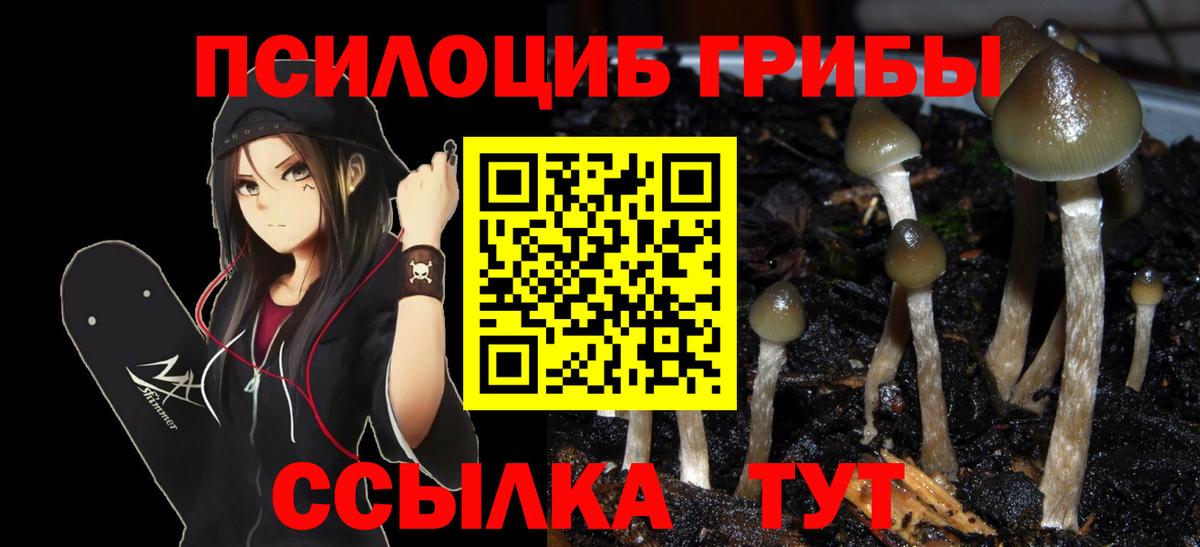 Галлюциногенные грибы мухоморы  Галлюциногенные грибы Magic Shrooms  Вход с VPN  Киржач 